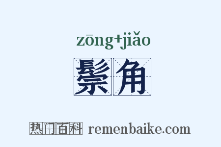 鬃角是什么意思的图片